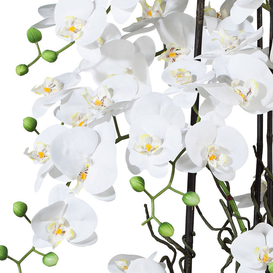 Phalaenopsisarrangement, 68cm weiss, in Keramikschale 45x25cm weiss, Real Touch