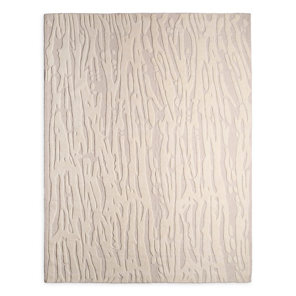 Teppich Zenon 300 x 400 cm