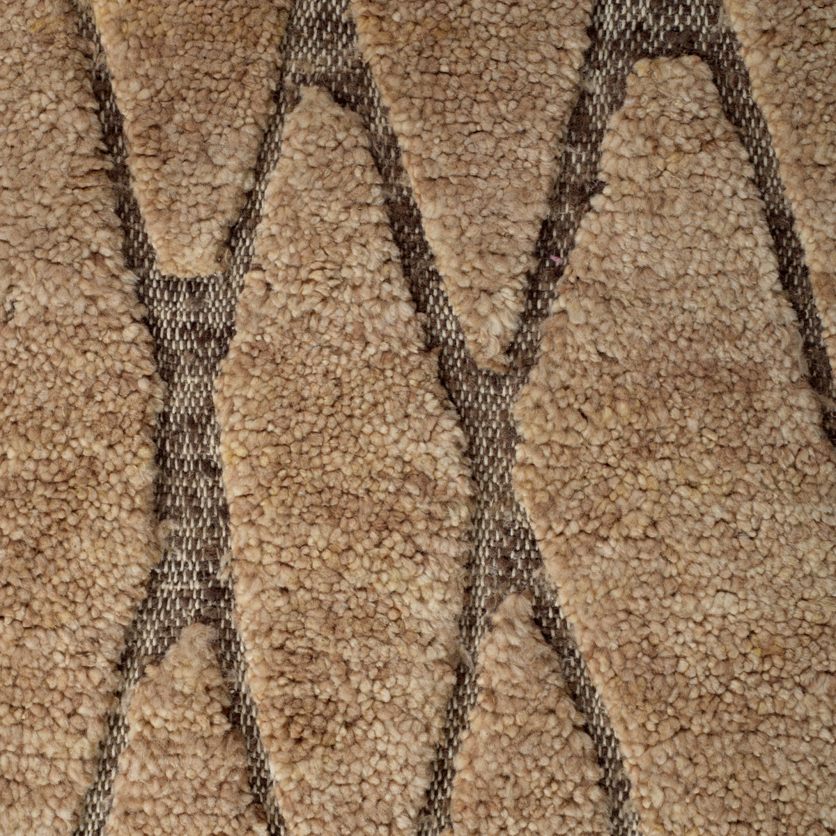 Teppich Coralie 300 x 400 cm