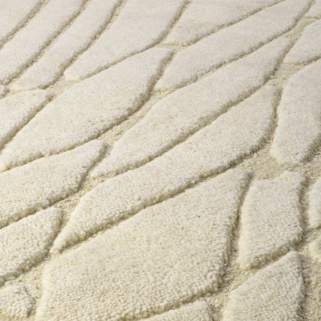 Teppich Coralie 300 x 400 cm