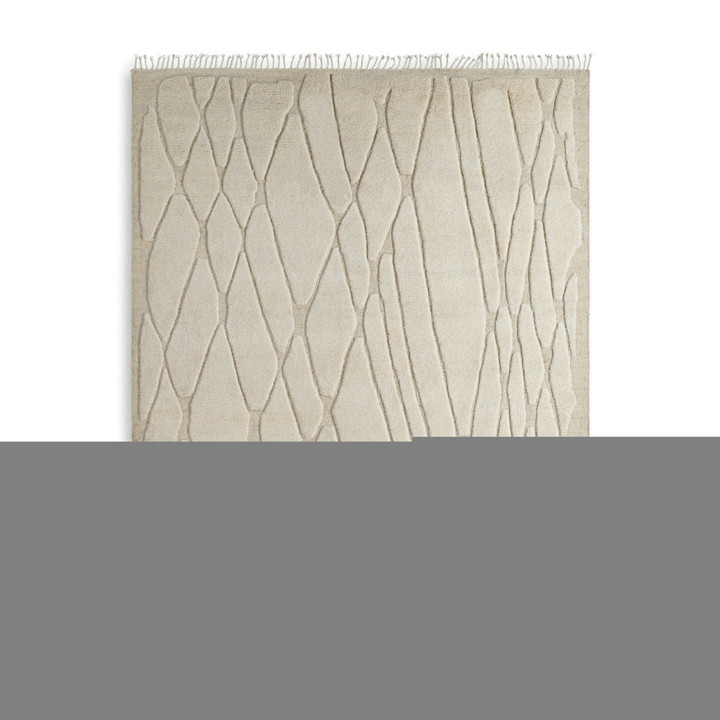 Teppich Coralie 300 x 400 cm