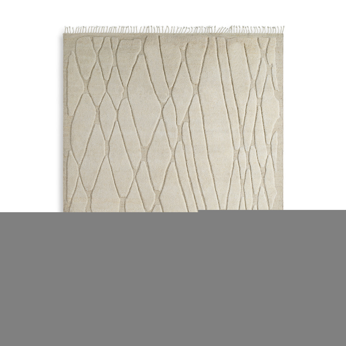 Teppich Coralie 300 x 400 cm