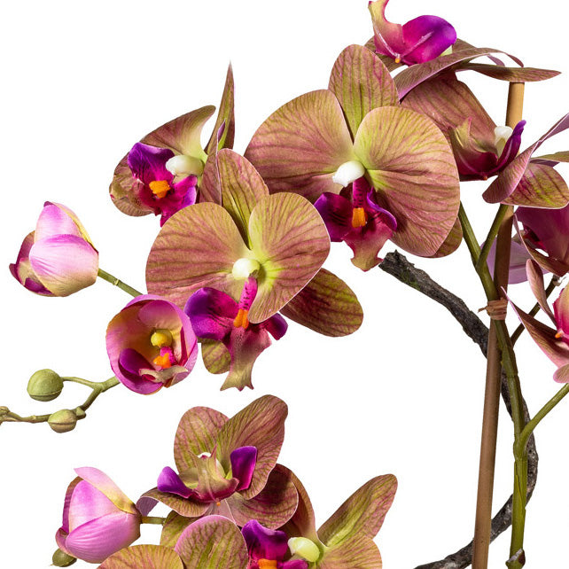 Phalaenopsisarrangement x4, ca 70cm, gruen-lila, in brauner Keramikvase 27x15x10cm, Real Touch