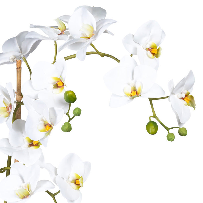 Phalaenopsis x4, ca 60cm weiss, im Keramikschiff 37x11x9cm, m.Steine, Real Touch