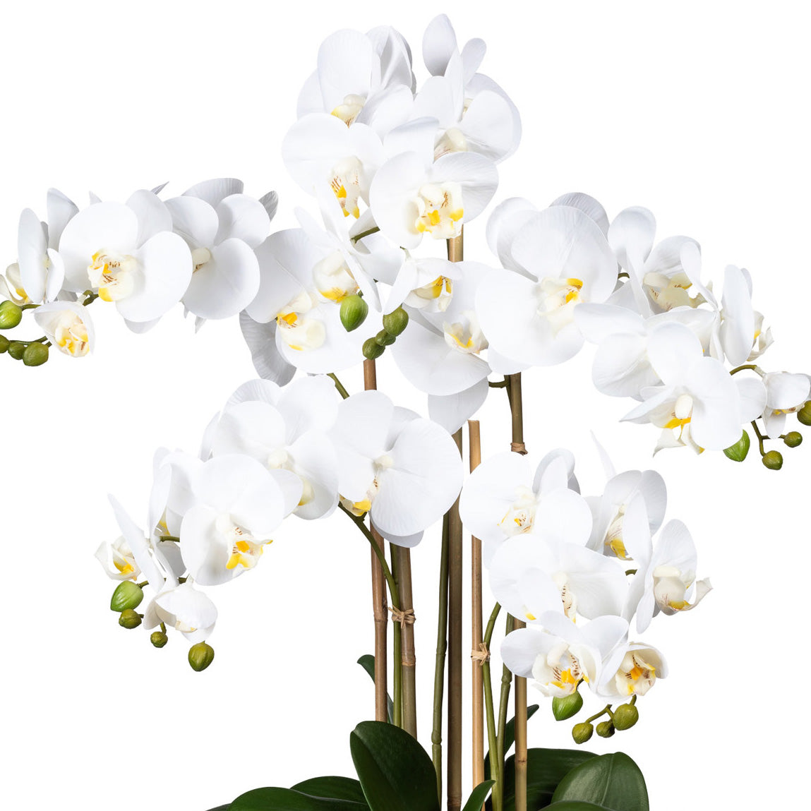 Phalaenopsis x5, ca 75cm weiss, in Kunststoffvase weiss 30x17x12cm, Real Touch