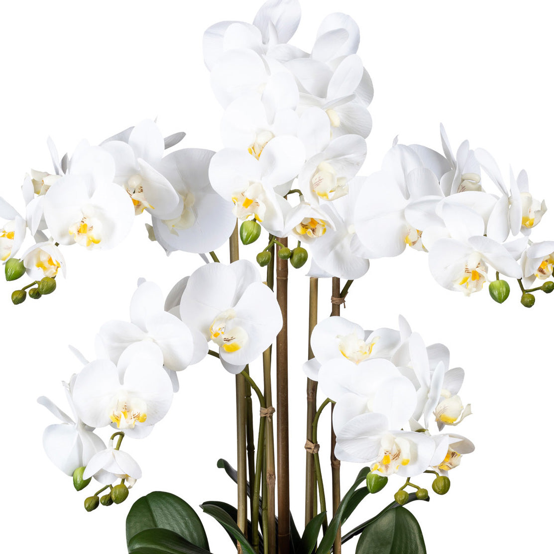 Phalaenopsis x5, ca 75cm weiss, in Kunststoffvase schwarz 30x17x12cm, Real Touch