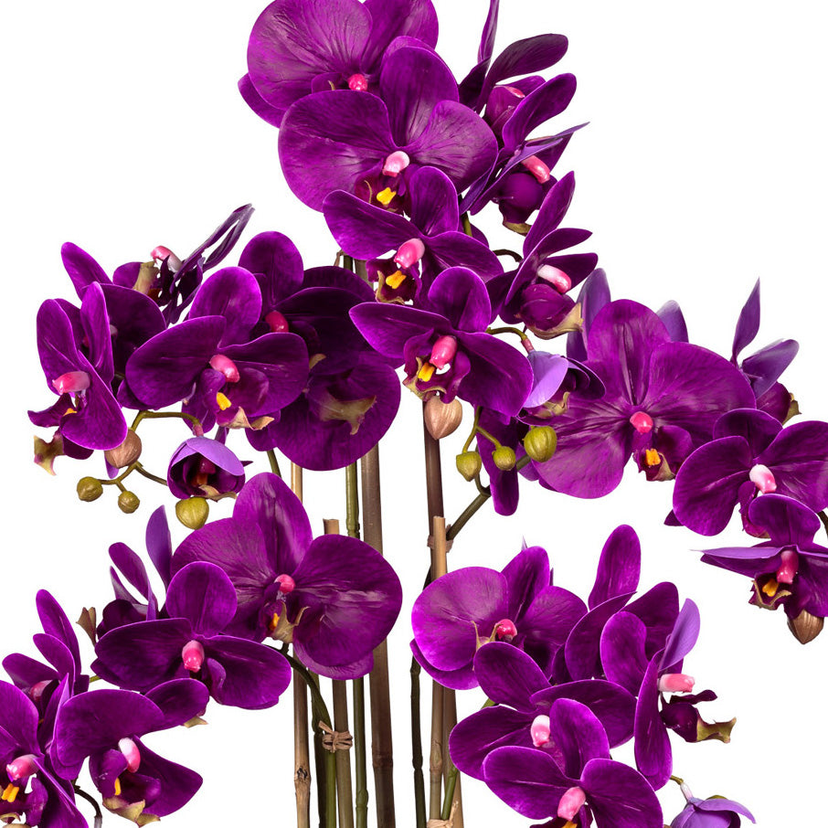 Phalaenopsis x5, ca 75cm lila, in Kunststoffvase schwarz 30x17x12cm, Real Touch