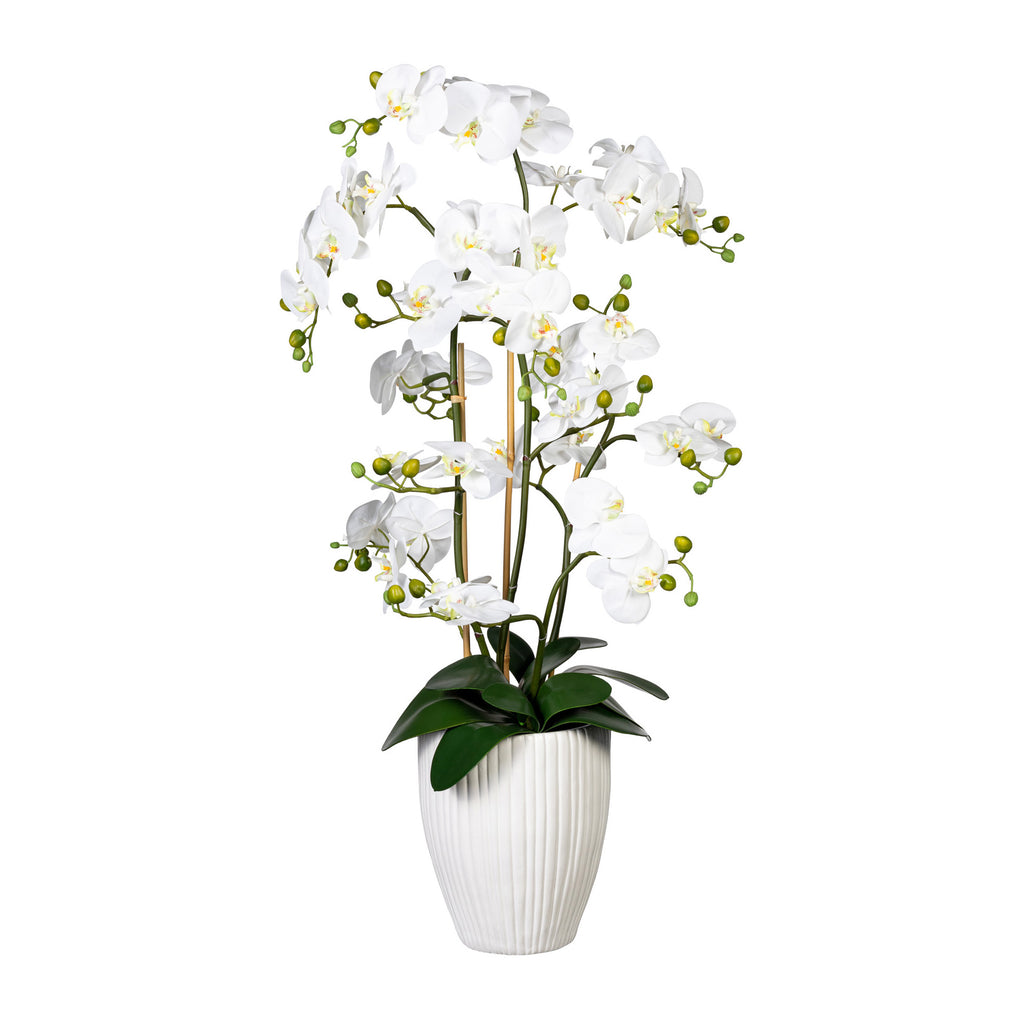 Orchidee Phalaenopsis x12, ca 110cm, weiss, Real Touch, 12 Bl., in weisser Keramikvase 24x30cm mit Erde