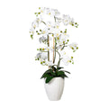 Orchidee Phalaenopsis x12, ca 110cm, weiss, Real Touch, 12 Bl., in weisser Keramikvase 24x30cm mit Erde