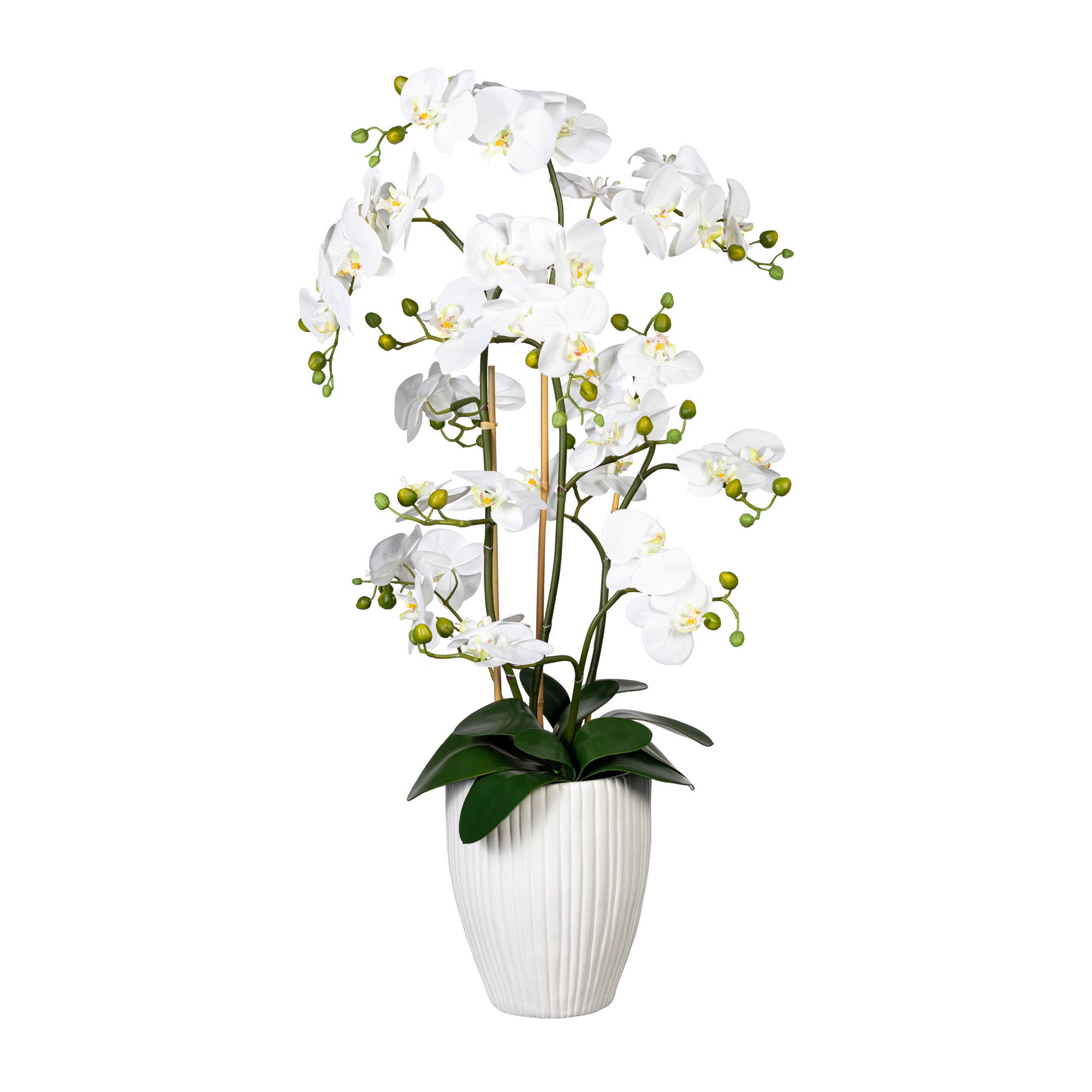 Orchidee Phalaenopsis x12, ca 110cm, weiss, Real Touch, 12 Bl., in weisser Keramikvase 24x30cm mit Erde