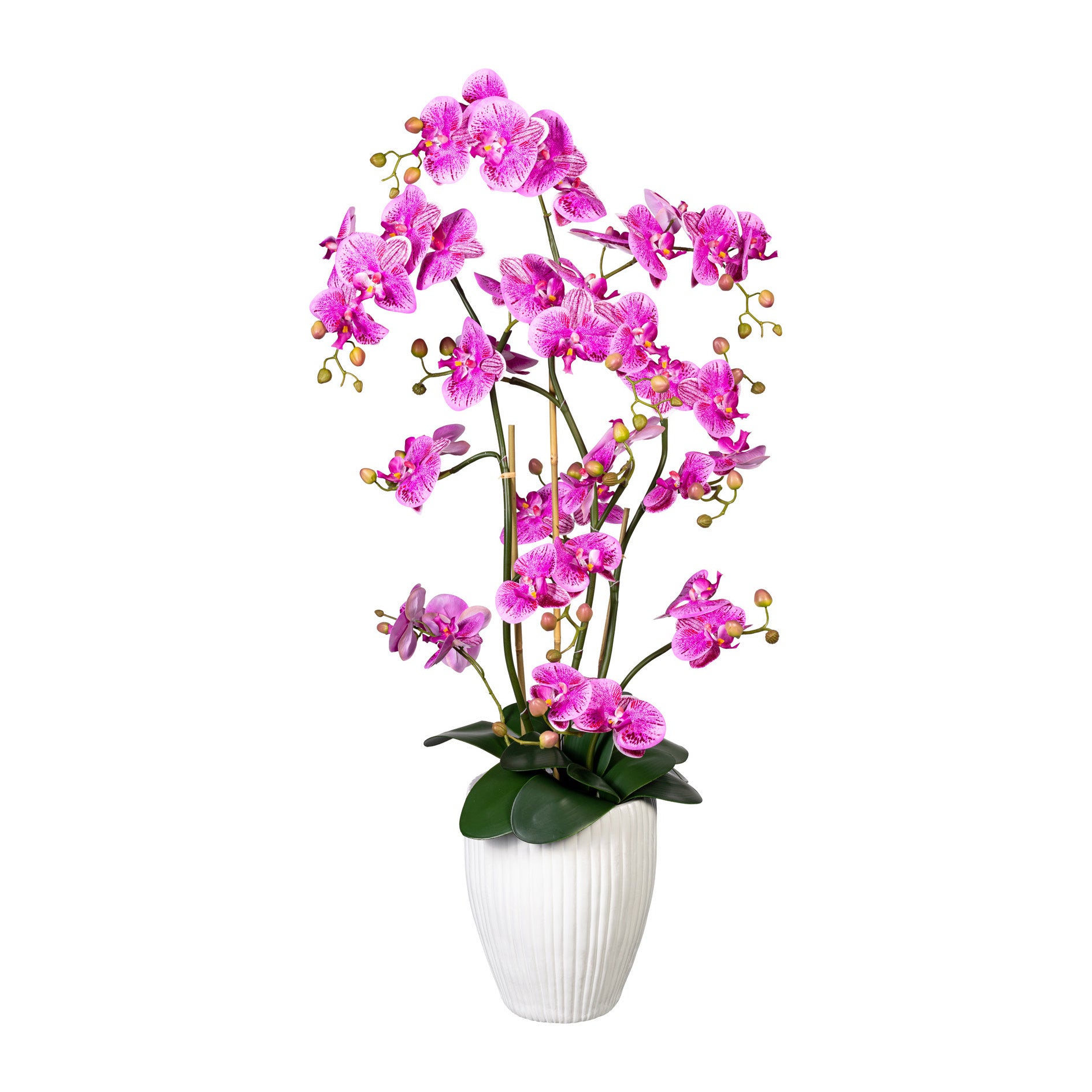 Orchidee Phalaenopsis x12, ca 110cm, lila-pink, Real Touch, 12 Bl., in weisser Keramikvase 24x30cm mit Erde