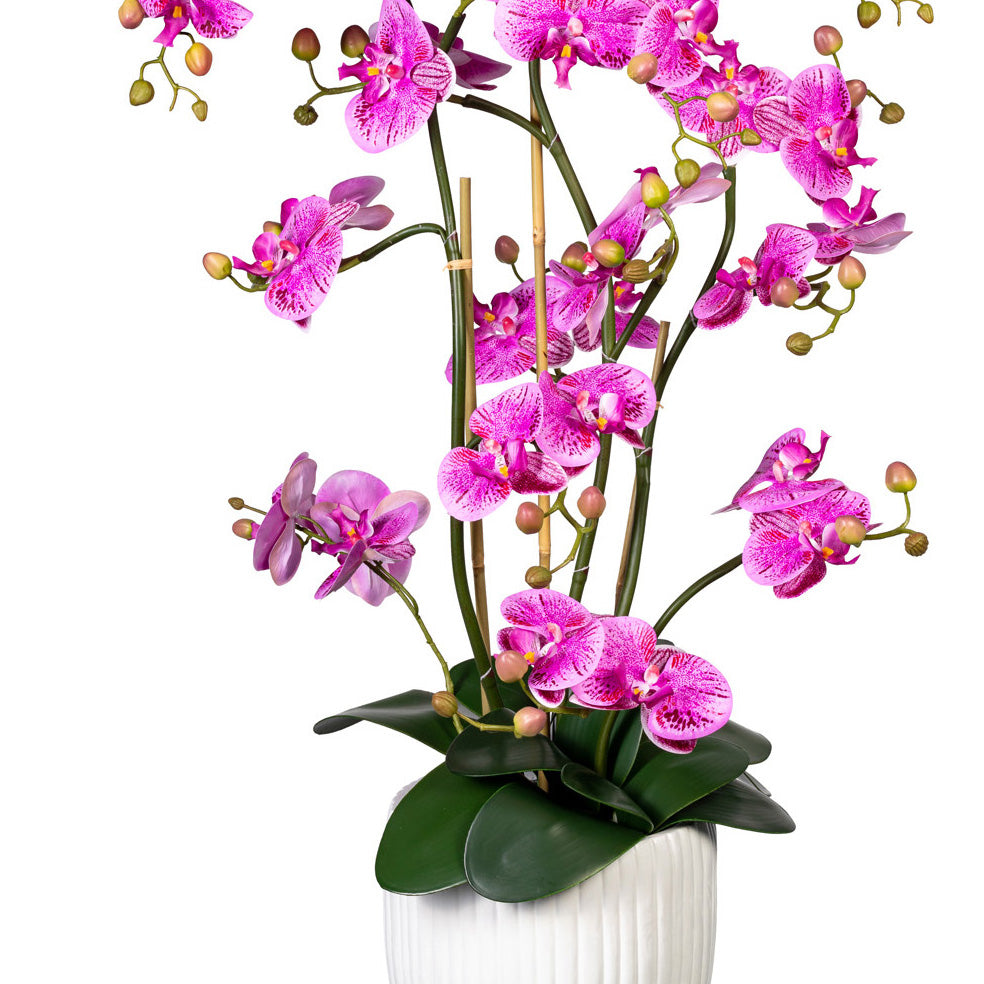 Orchidee Phalaenopsis x12, ca 110cm, lila-pink, Real Touch, 12 Bl., in weisser Keramikvase 24x30cm mit Erde