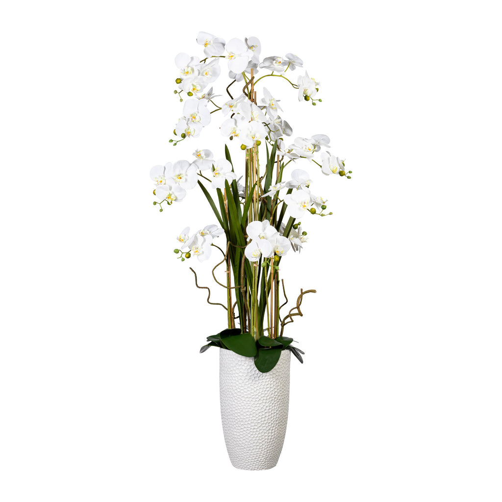 Phalaenopsisarrangement, ca 160cm, weiss, Real Touch