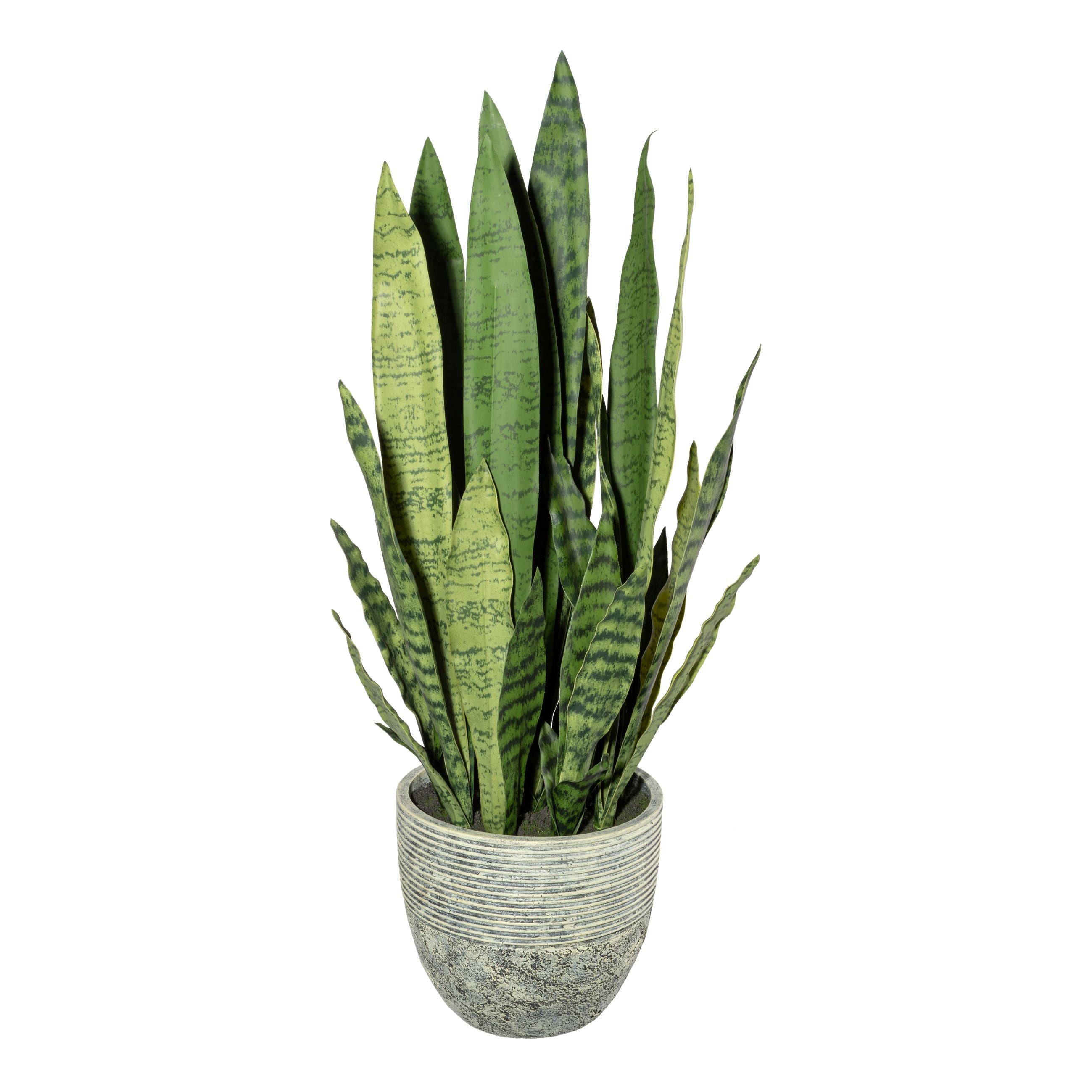 Sansevieria x10, ca 80cm, gruen, Kunststoff, im Melamintopf 22,5x20cm, mit Erde