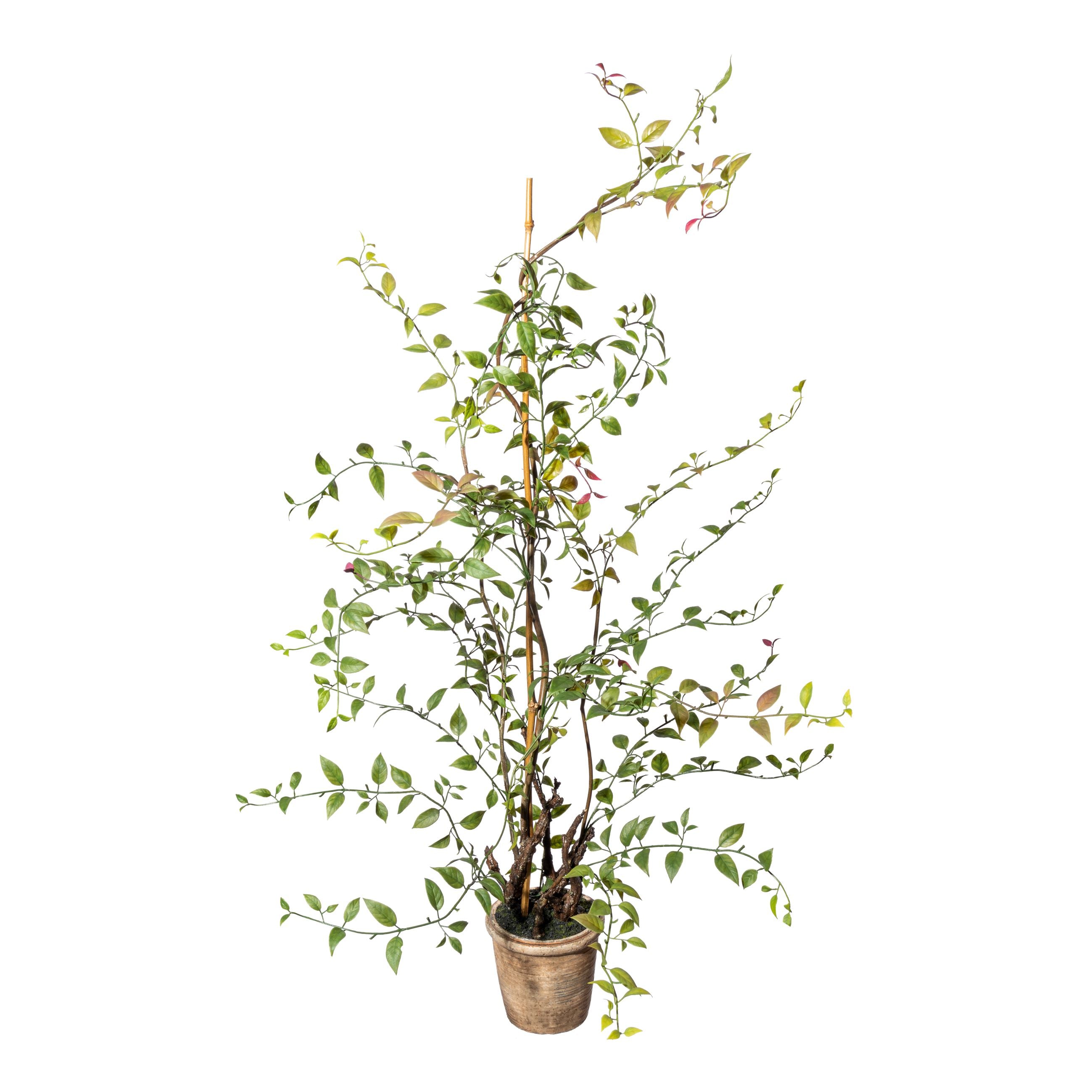 Lonicera japonica (Geissblatt) ca 100cm, Kunststoff gruen, im Zementtopf braun 14,5x13cm, mit Erde
