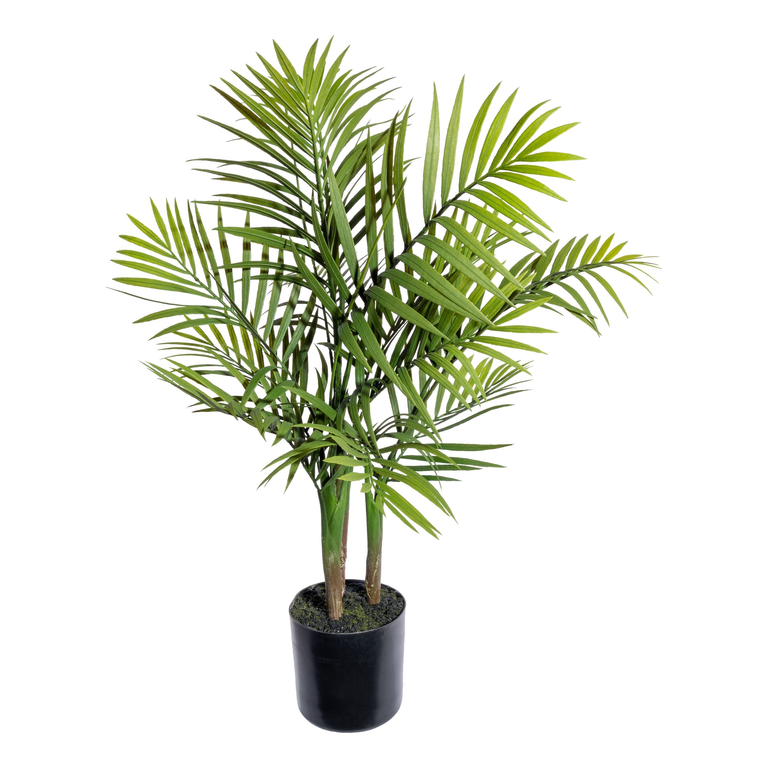 Bergpalme x3 ca 65cm,12 Wedel Kunststoff gruen, im Kunststofftopf schwarz 12,5x11,5cm, mit Erde