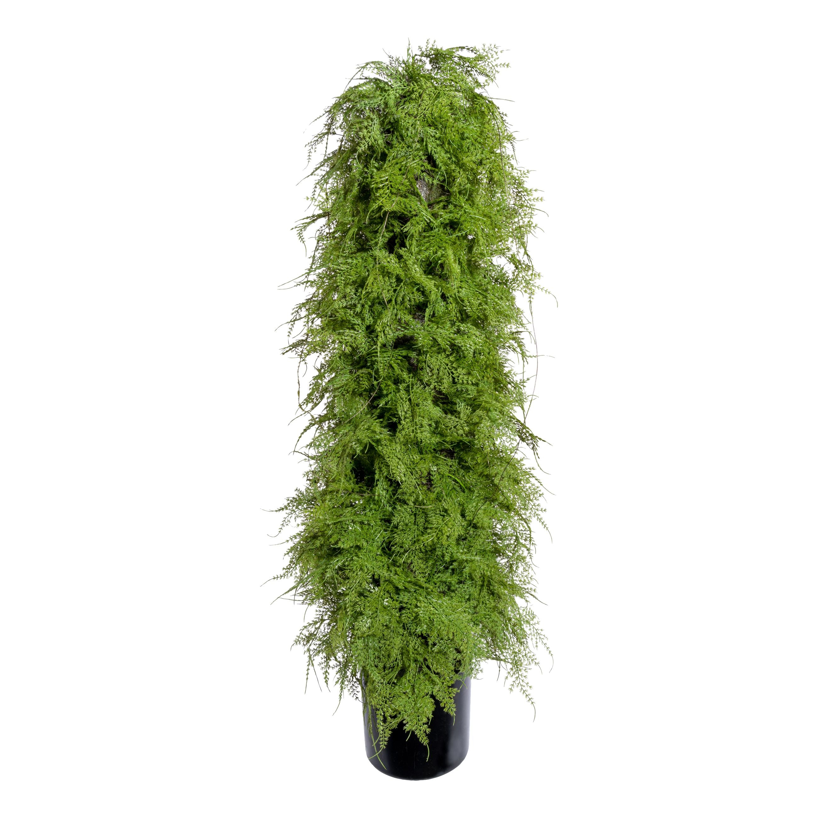 Asparagus pyramidalis ca 120cm, Kunststoff gruen, im Kunststofftopf schwarz 18x17cm, mit Erde