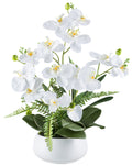 Phalaenopsisarrangement x4, ca 55cm weiss, Real Touch in Keramikschale weiss 20x10cm