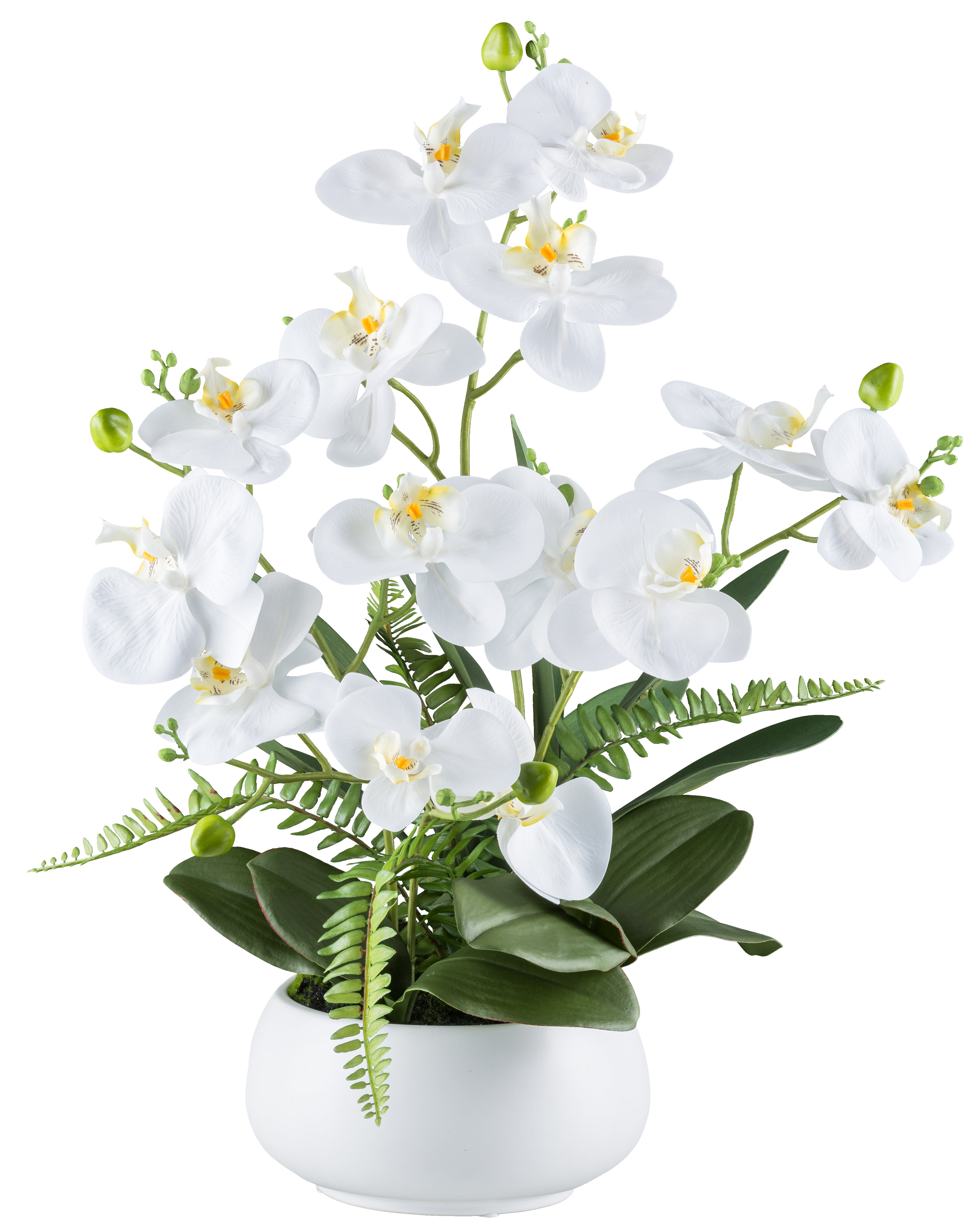 Phalaenopsisarrangement x4, ca 55cm weiss, Real Touch in Keramikschale weiss 20x10cm
