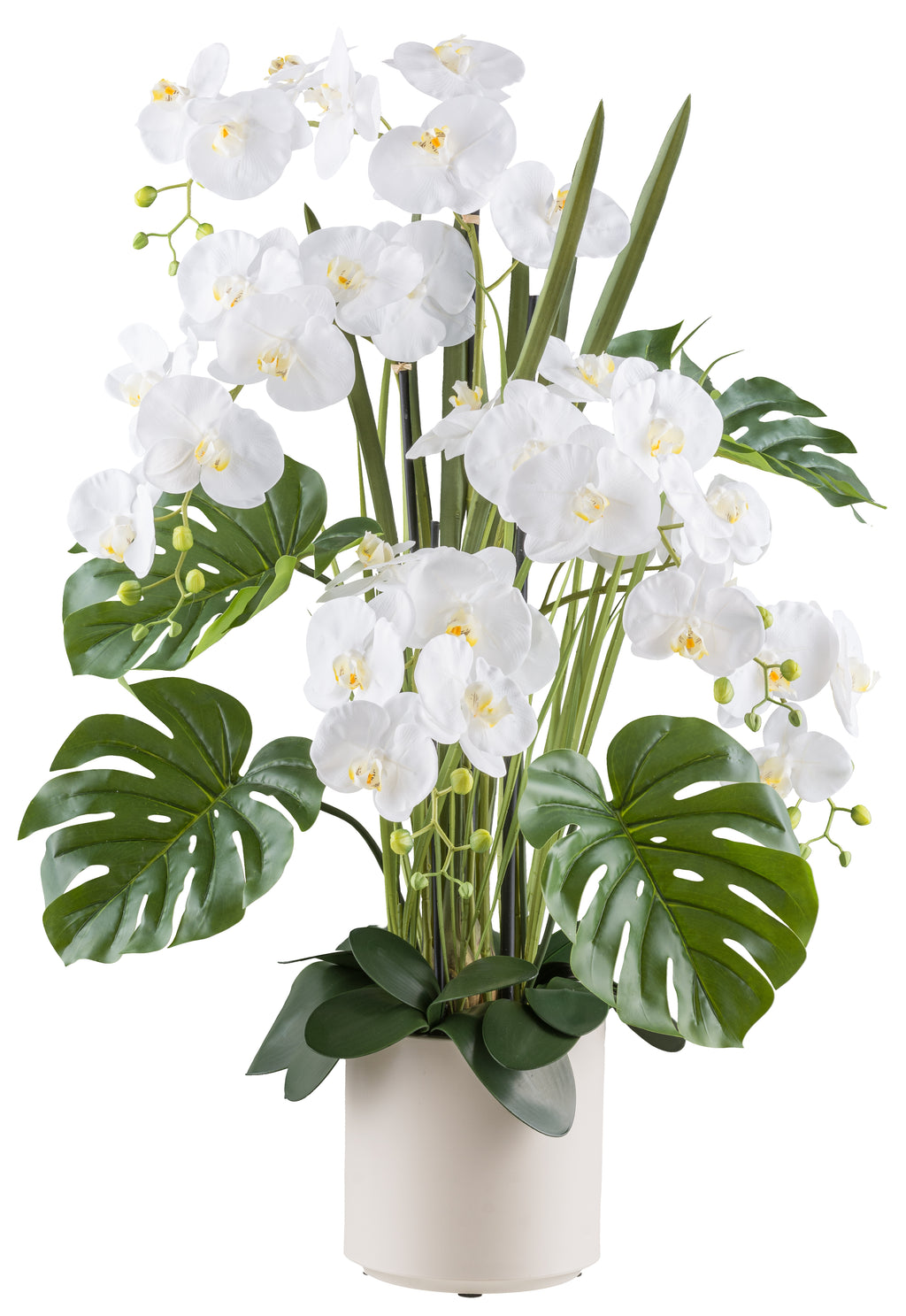 Phalaenopsisarrangement x5 110cm weiss, Real Touch im Kunststofftopf 22x22cm creme