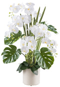 Phalaenopsisarrangement x5 110cm weiss, Real Touch im Kunststofftopf 22x22cm creme