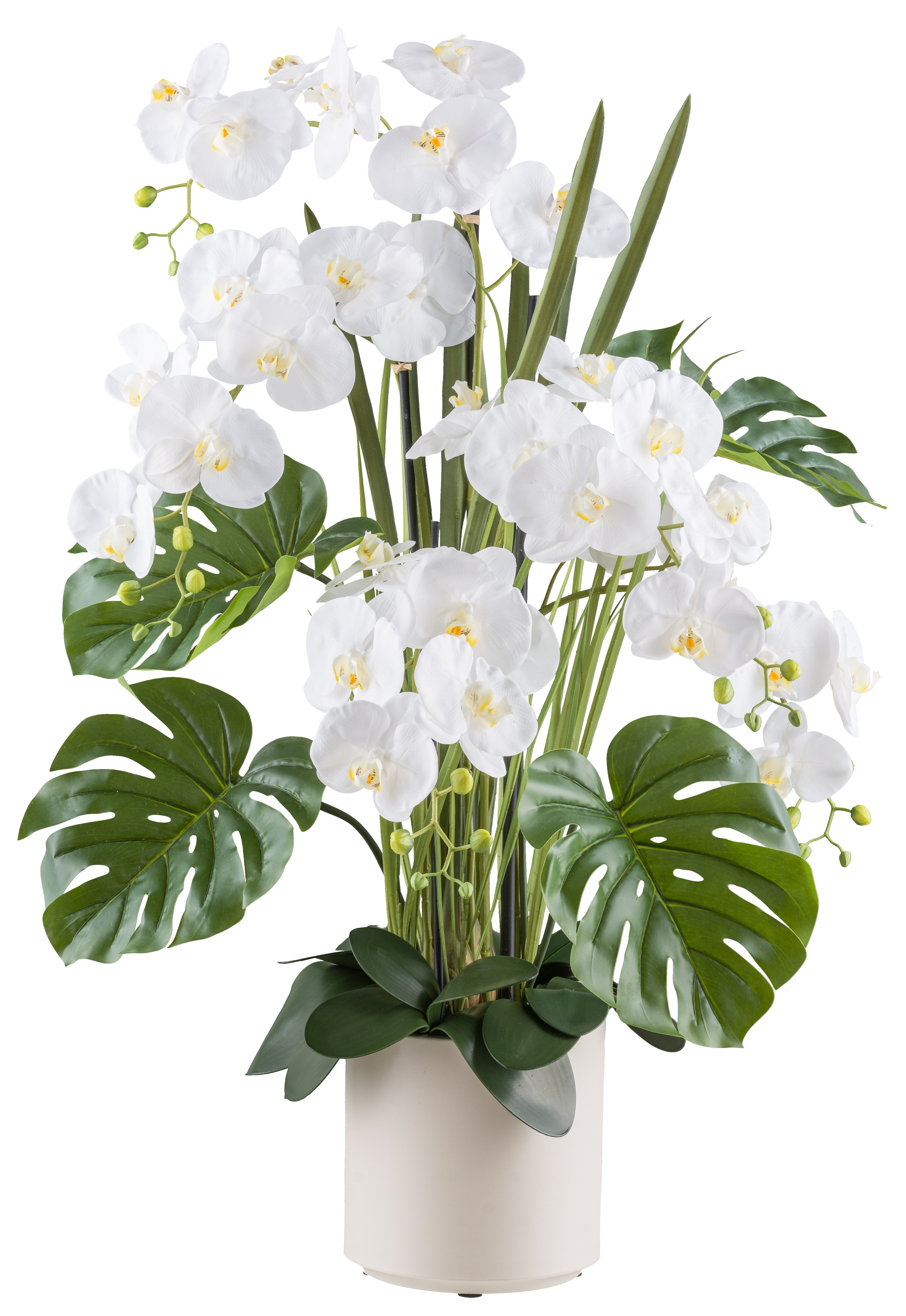 Phalaenopsisarrangement x5 110cm weiss, Real Touch im Kunststofftopf 22x22cm creme