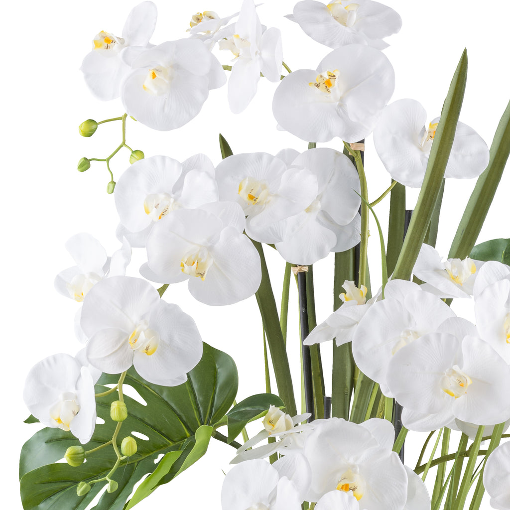 Phalaenopsisarrangement x5 110cm weiss, Real Touch im Kunststofftopf 22x22cm creme