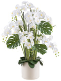 Phalaenopsisarrangement x7 120cm weiss, Real Touch im Kunststofftopf 27x27cm creme