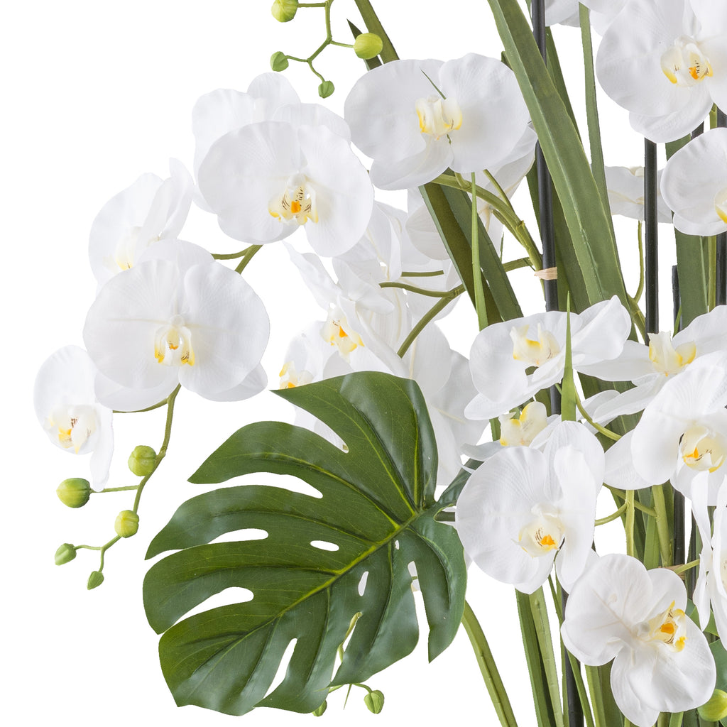 Phalaenopsisarrangement x7 120cm weiss, Real Touch im Kunststofftopf 27x27cm creme
