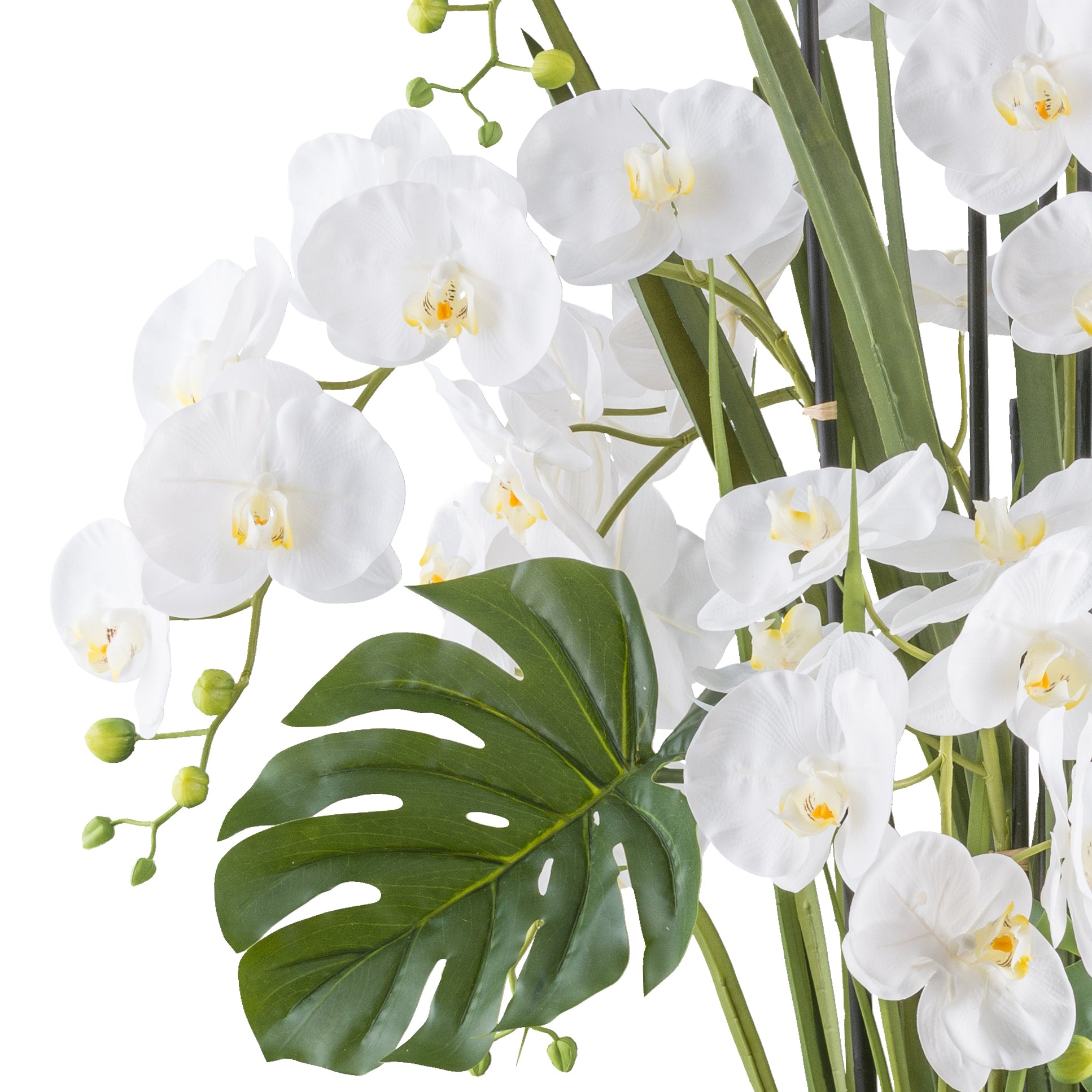 Phalaenopsisarrangement x7 120cm weiss, Real Touch im Kunststofftopf 27x27cm creme