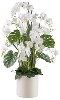 Phalaenopsisarrangement x9 140cm weiss, Real Touch im Kunststofftopf 33x33cm creme