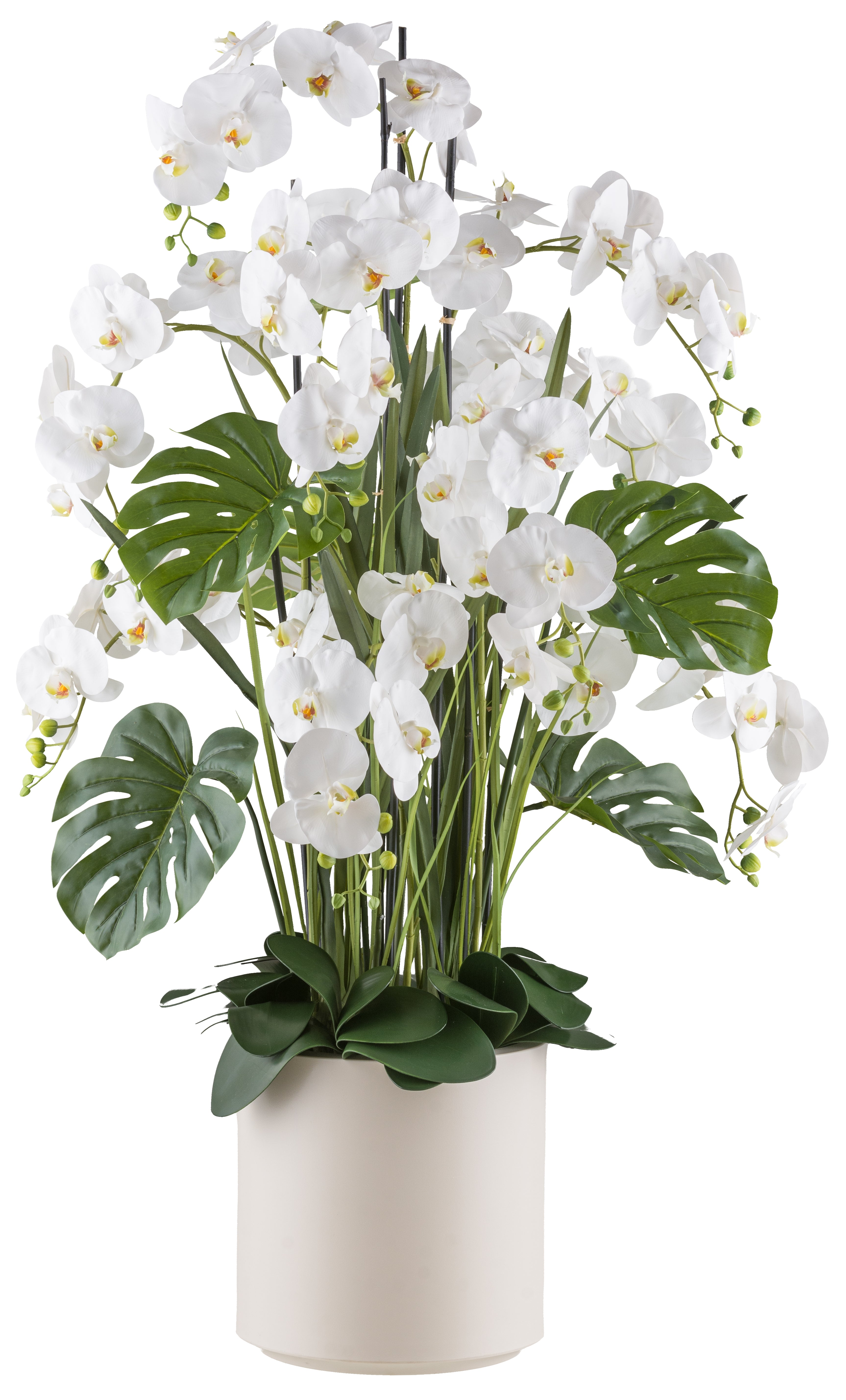 Phalaenopsisarrangement x9 140cm weiss, Real Touch im Kunststofftopf 33x33cm creme