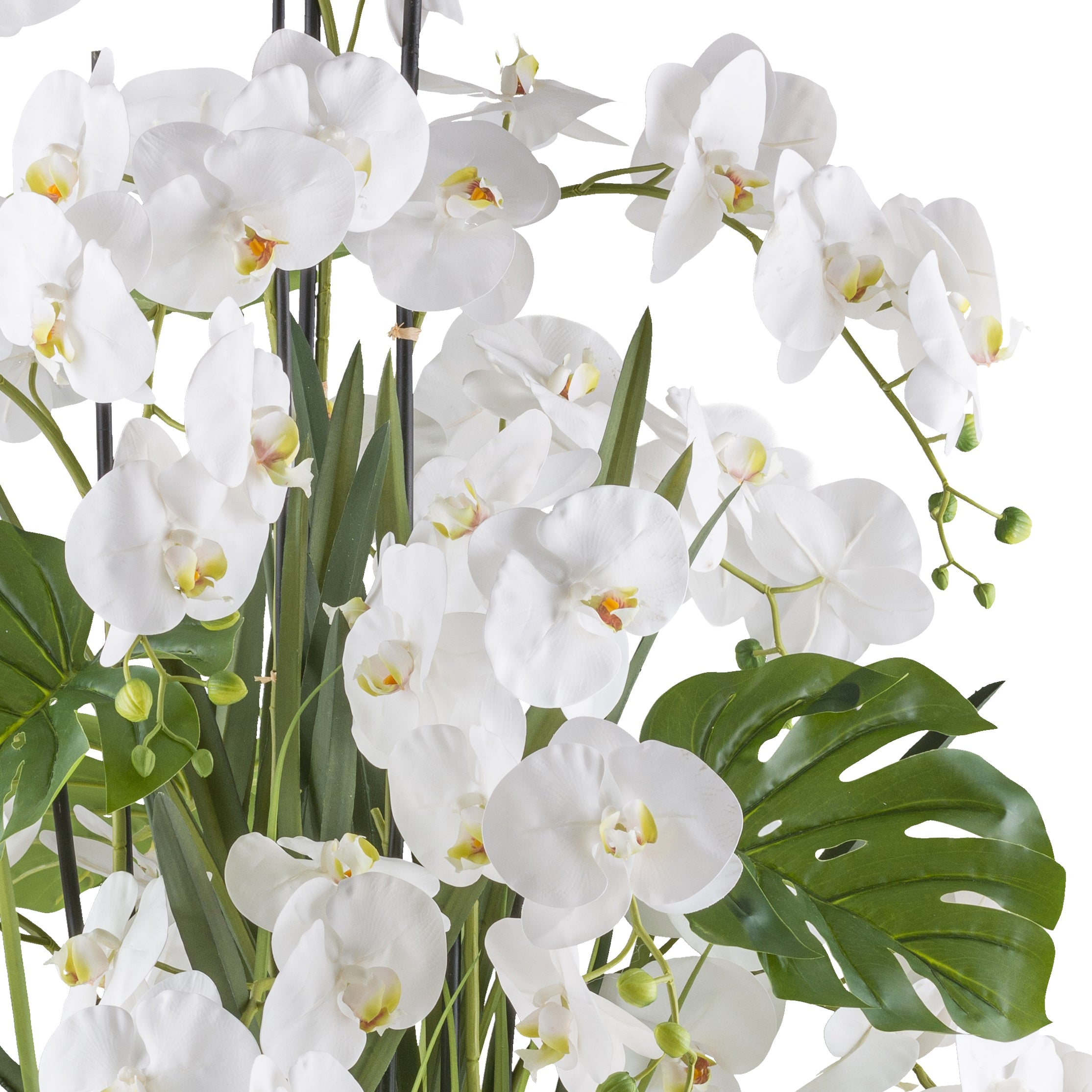 Phalaenopsisarrangement x9 140cm weiss, Real Touch im Kunststofftopf 33x33cm creme