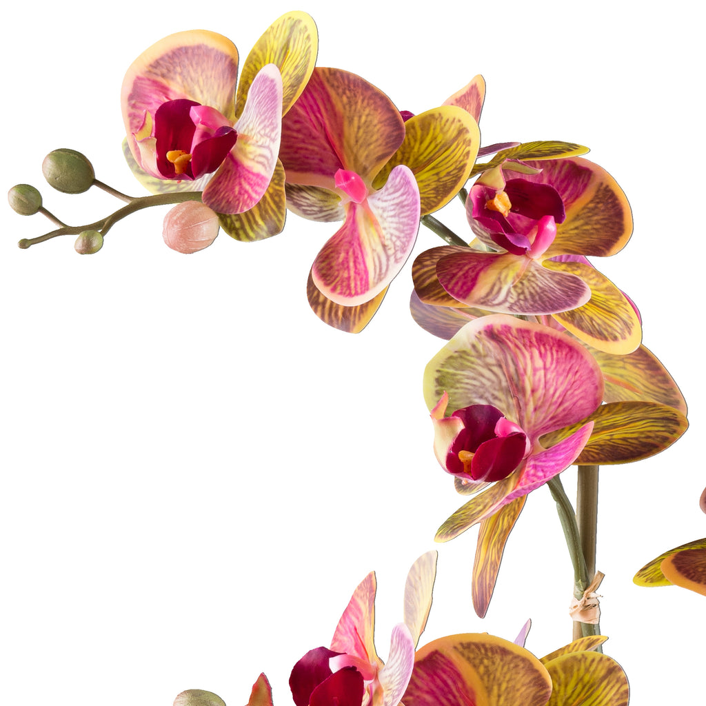 Phalaenopsis x4, ca 56cm gelbpink, in Zementschale grau 20x13x8cm Real Touch