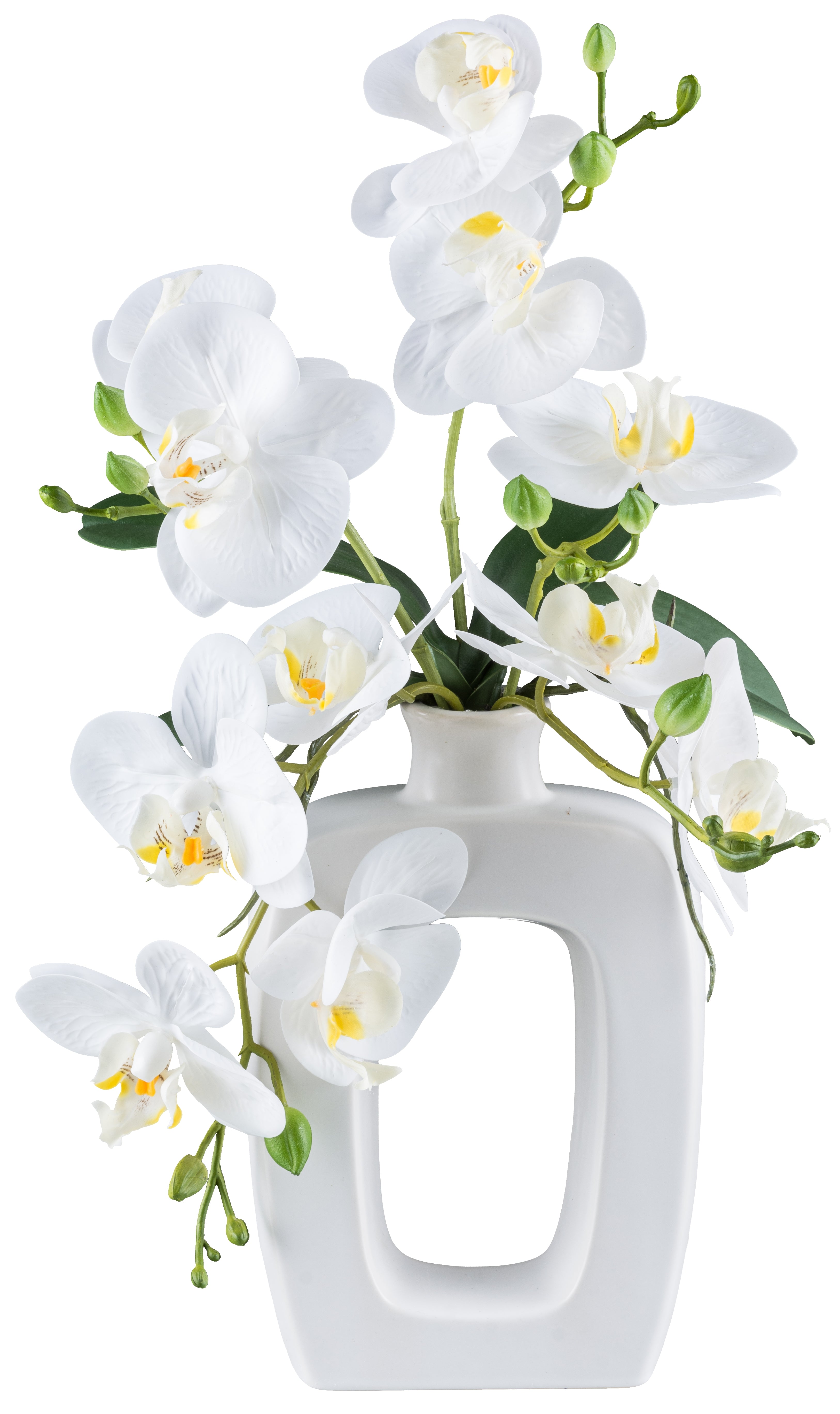 Phalaenopsis x5,ca 42cm, weiss in Keramikvase 21x13x6cm weiss Real Touch