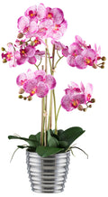 Phalaenopsis x5, 62cm, orchidee im Keramiktopf silber 15x13cm, Real Touch