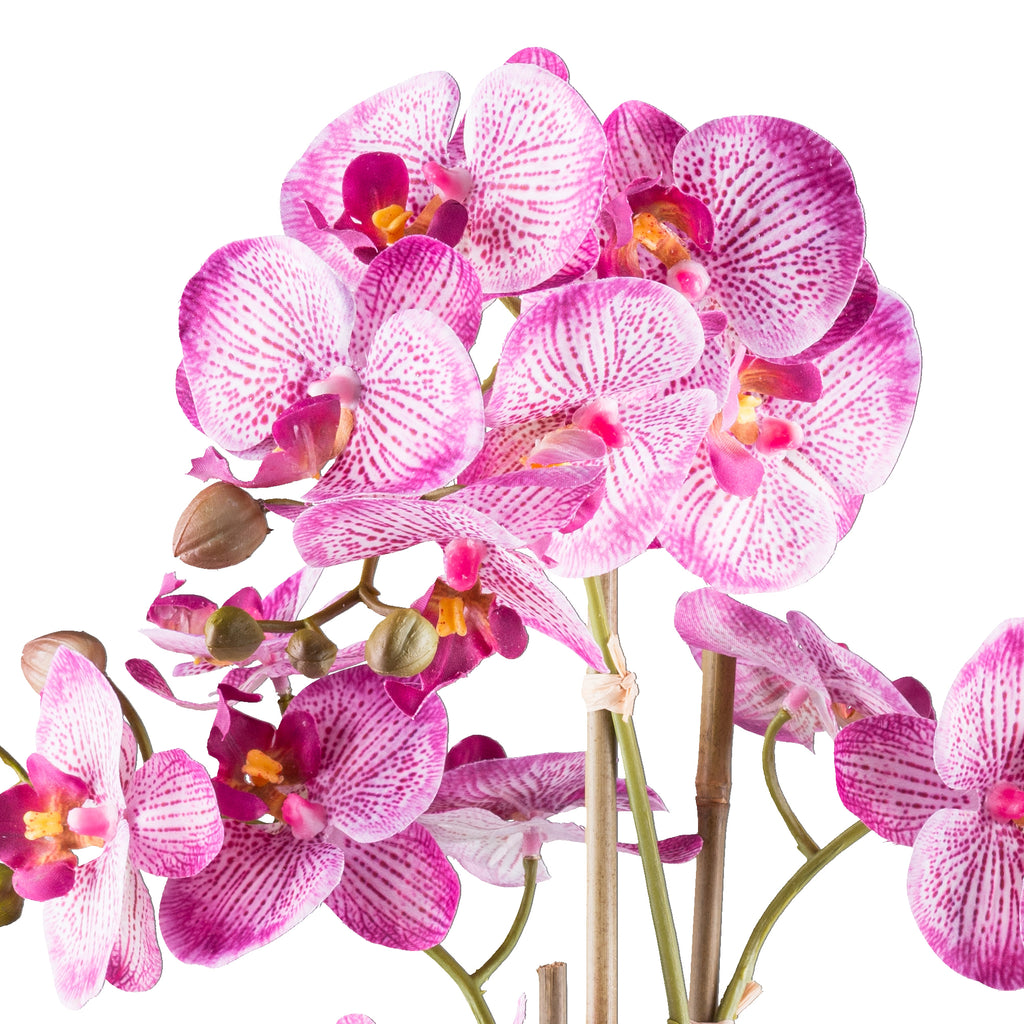 Phalaenopsis x5, 62cm, orchidee im Keramiktopf silber 15x13cm, Real Touch