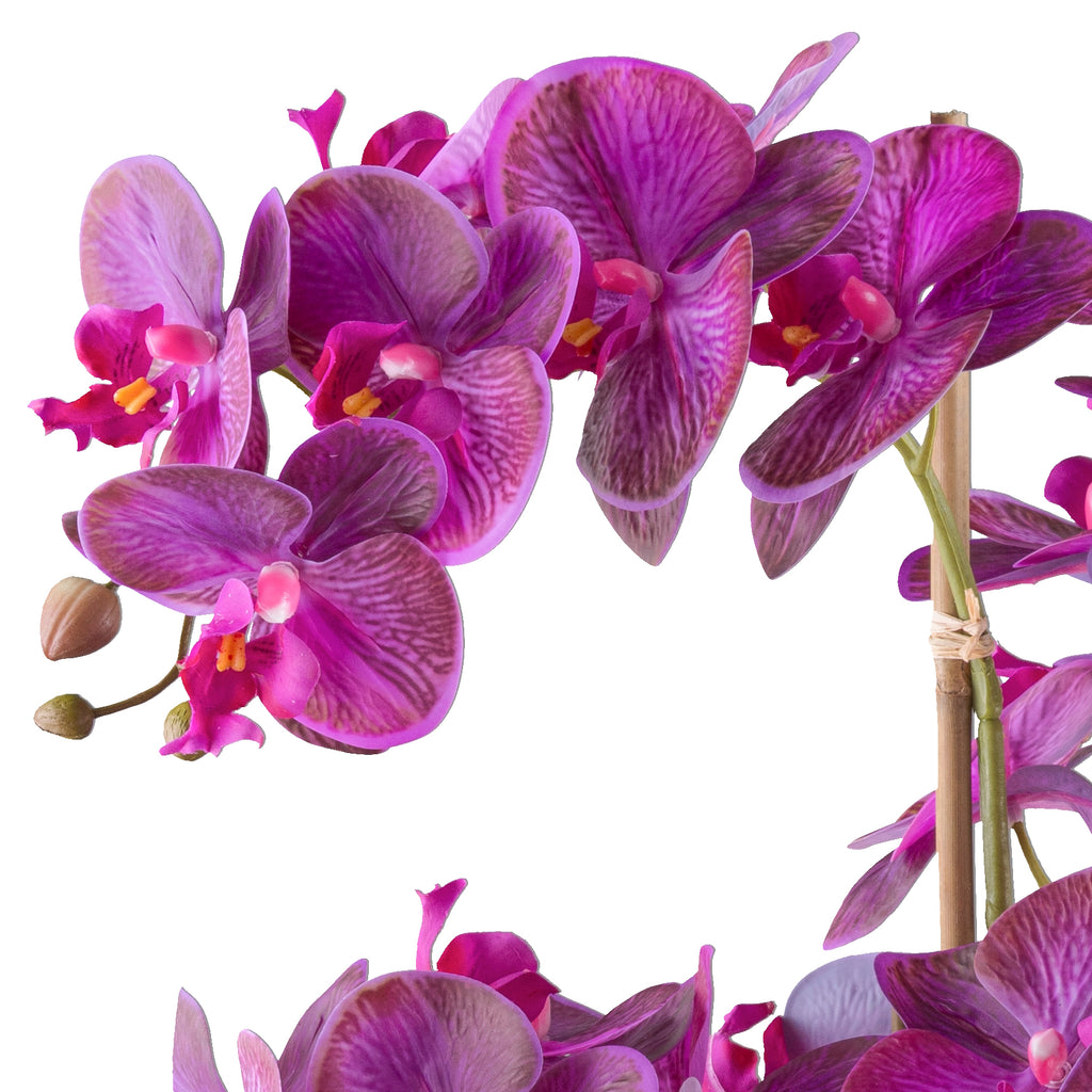 Phalaenopsis x5, 70cm lila, im Kunststofftopf 21x17cm schwarz Real Touch