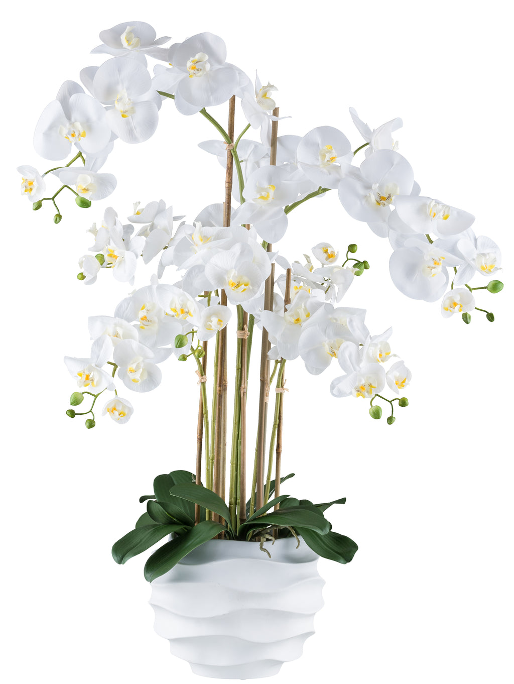 Phalaenopsis x7, 90cm weiss, im Kunststofftopf 25x20cm weiss Real Touch