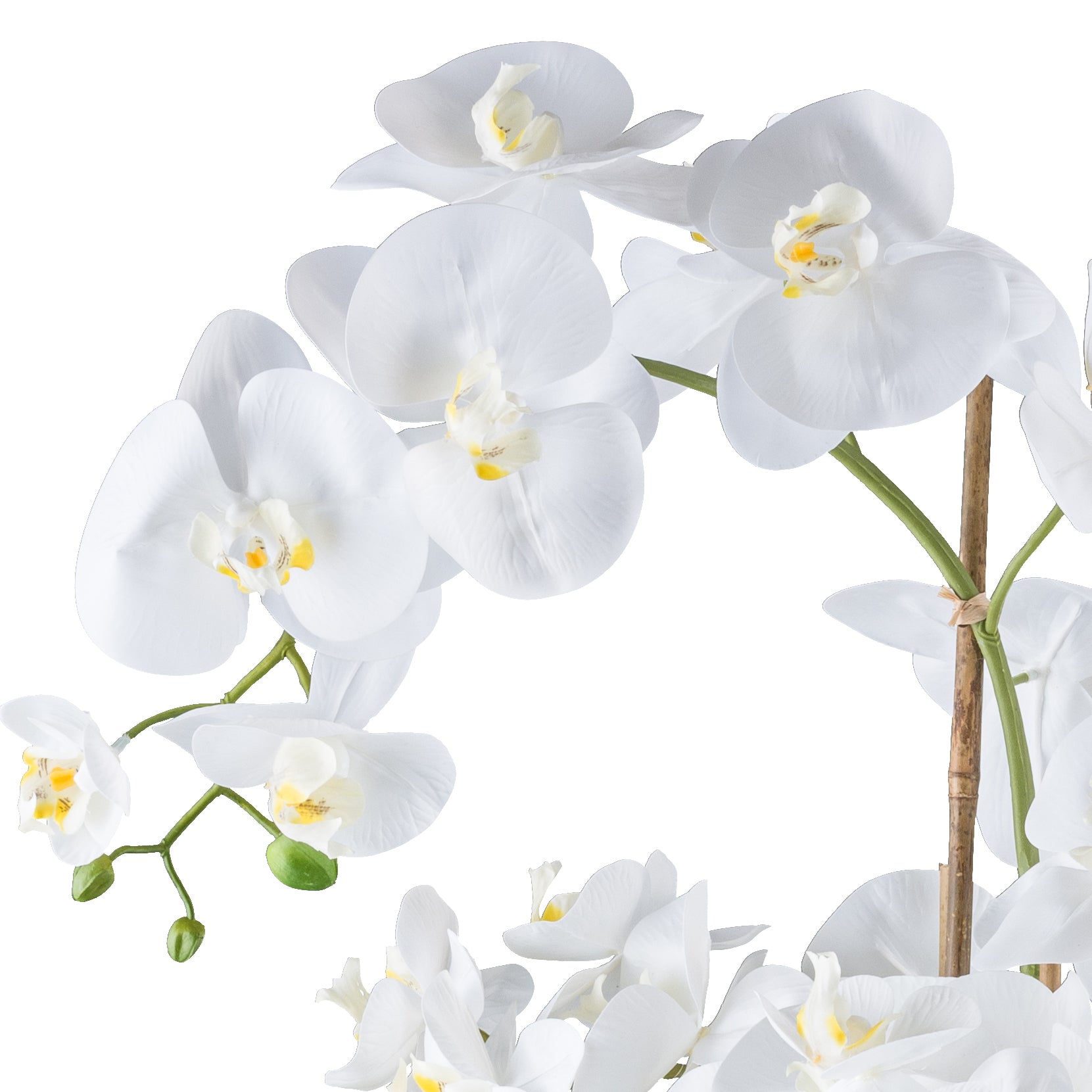 Phalaenopsis x7, 90cm weiss, im Kunststofftopf 25x20cm weiss Real Touch