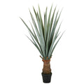 Agave angustifolia, 140cm, gruengrau, im Kunststofftopf 20x17cm, UV-bestaendig