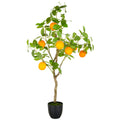 Orangenbaum x7, 115cm, gruen, im Kunststofftopf 16x15cm