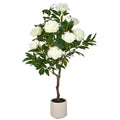 Peonien Hochstamm x9, 120cm, creme, im Kunststofftopf 17,5x17,5cm creme