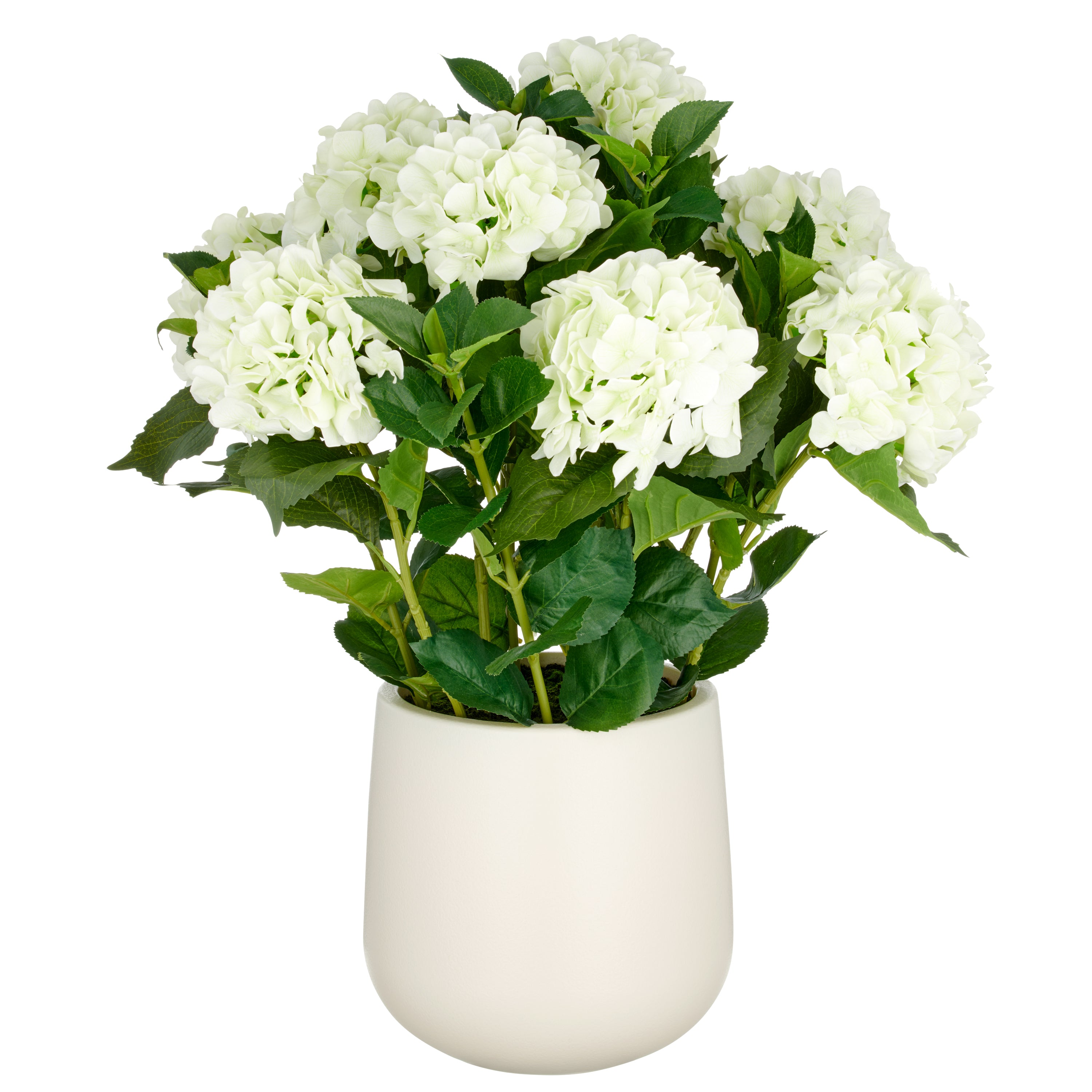 Hortensien Arrangement x9, 70cm, cremegruen, Real Touch, im Kunststofftopf 24x26cm creme