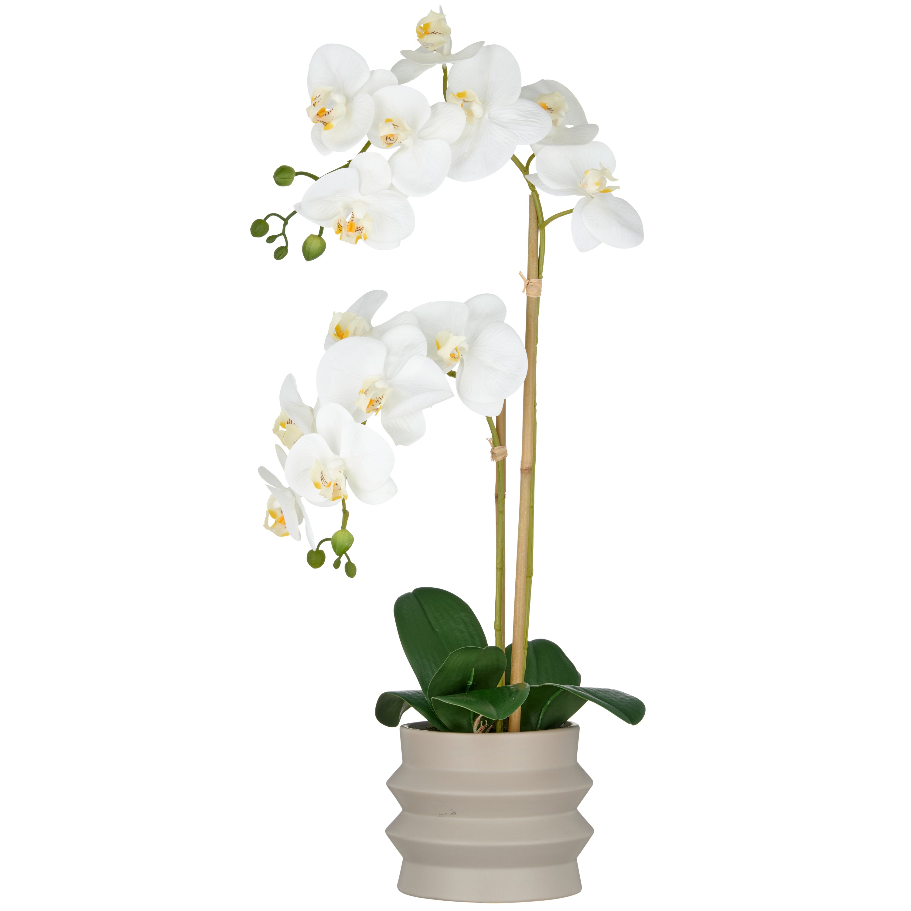 Phalaenopsis x2, 60cm, weiss, im Keramiktopf 14x13cm sand, Real Touch