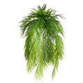 Dekohaenger Palmwedel, ca 100x D50cm, gruen, Kunststoff