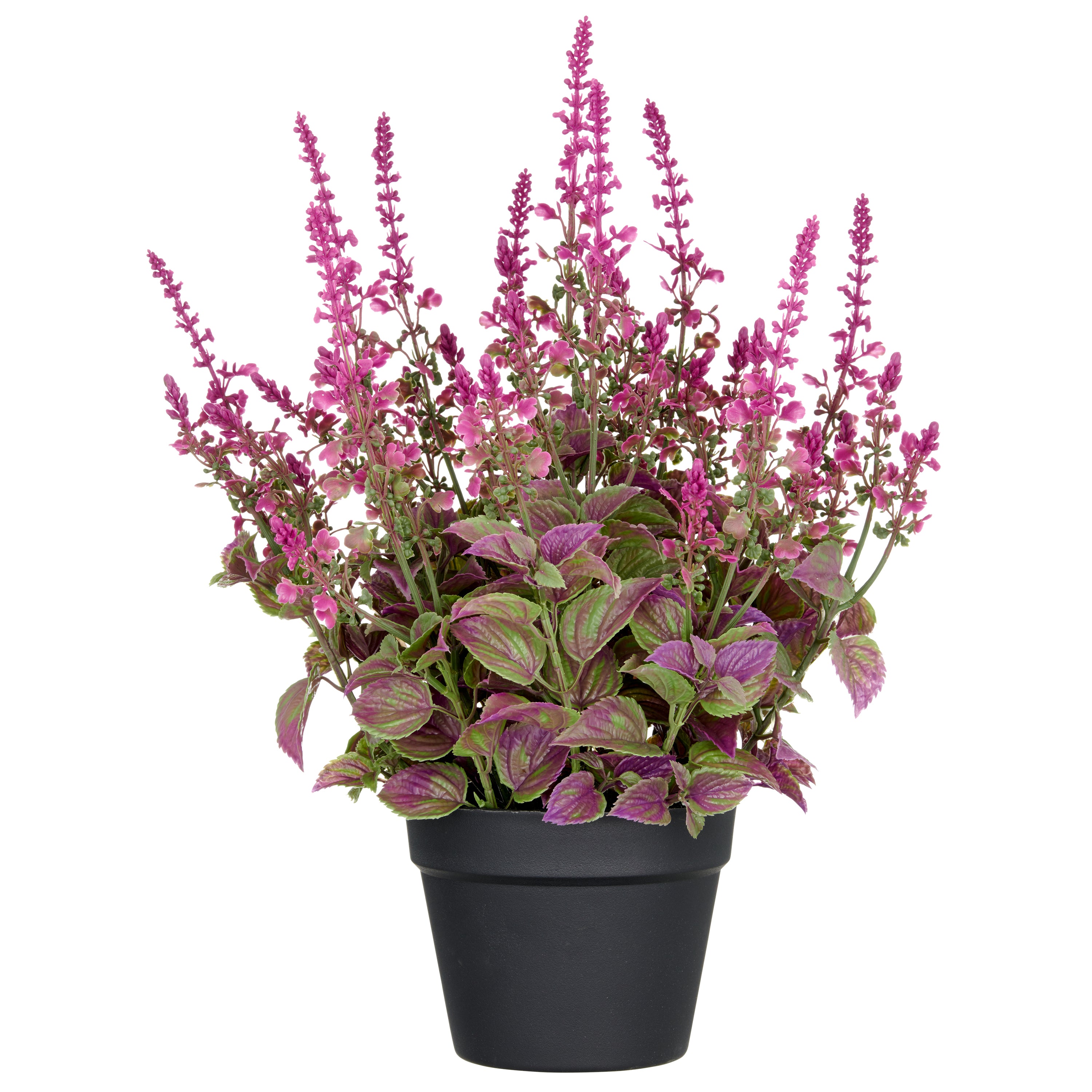 Salvia superba XL, ca 50cm, pink, im Kunststofftopf 18x14cm, UV-bestaendig
