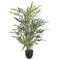 Phlebodium aureum Farn, 110x50cm, gruen, im Kunststofftopf 16x15cm