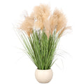 Silber Pampas Gras x21, Naturwedel, 95cm, gruen, im Kunststofftopf creme 22x17cm