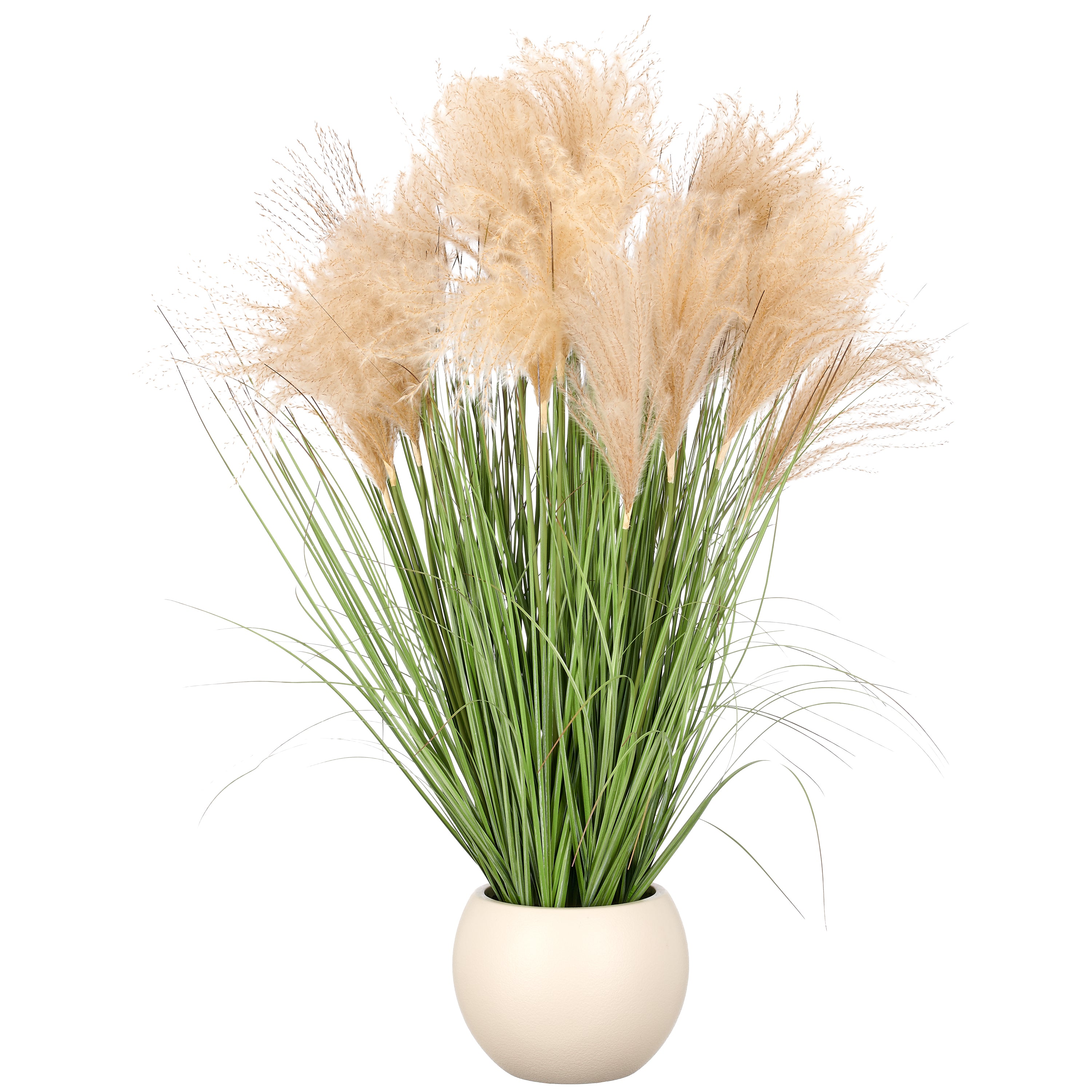 Silber Pampas Gras x21, Naturwedel, 95cm, gruen, im Kunststofftopf creme 22x17cm